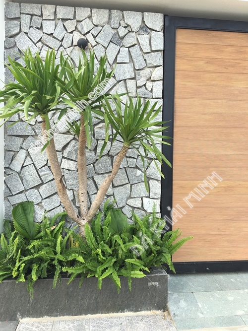 Hkm387 -Đá Trắng Xám- TƯỜng MẶt TiỀn- Đá Tự Nhiên Trang Trí Khải Minh