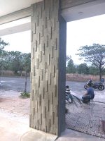 OX 560×1,2 @LT #1132 2