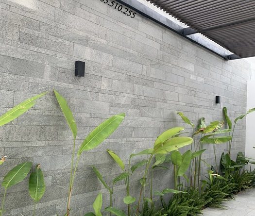 Đá granite xám nhiều quy cách ốp tường hông sân trong nhà có trồng cây