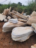 HUP Goc 150824b Đá cảnh cổ thạch (3) dakhaiminh