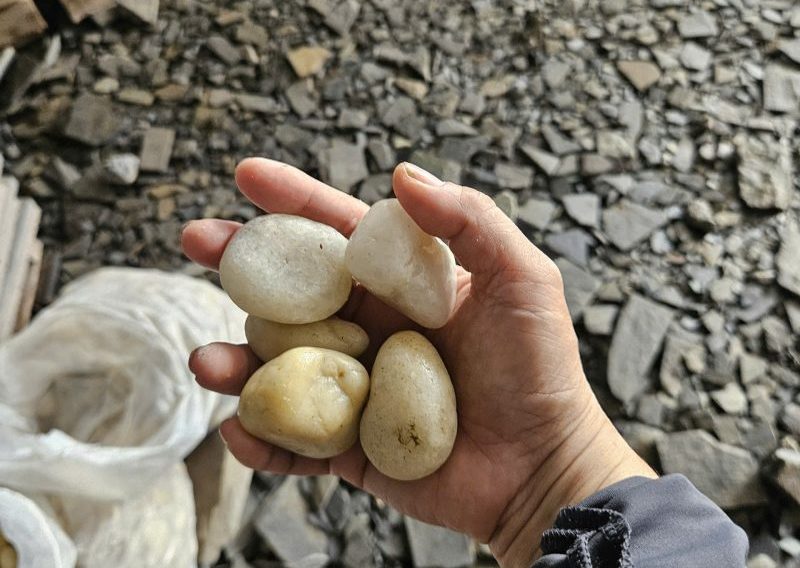 Sỏi thủy sinh